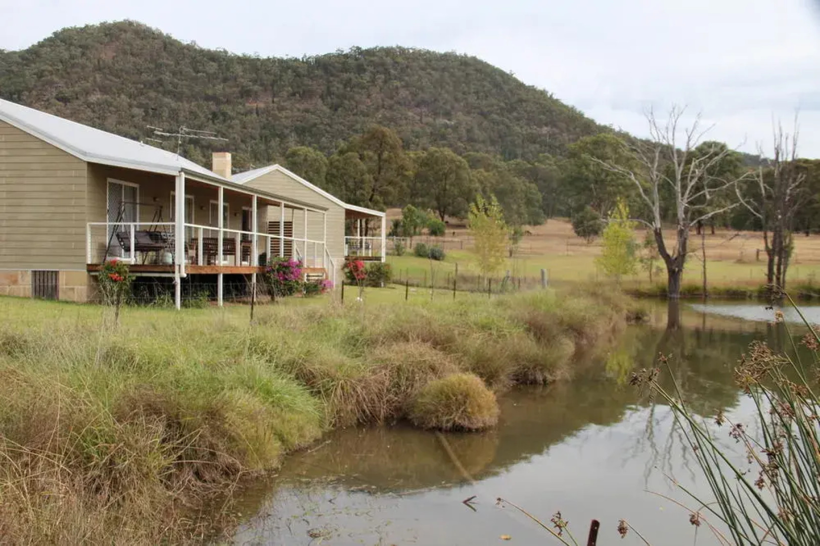 Starline Alpacas Farmstay Resort
