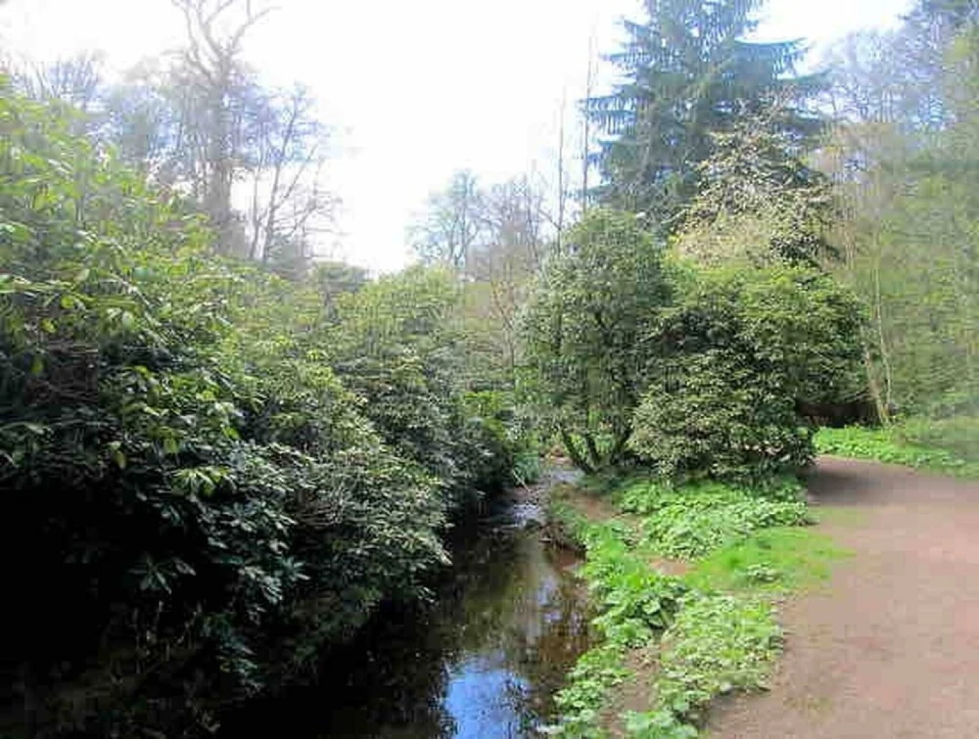 Station View Lodge - Near Balbirnie House Markinch