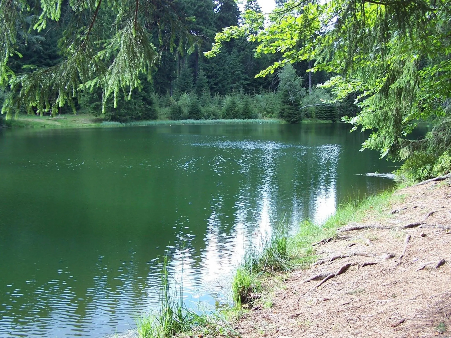 Heritage Villa With Home Cinema, Sauna