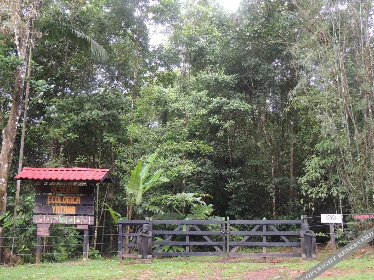 Yatama Ecolodge Sarapiqui
