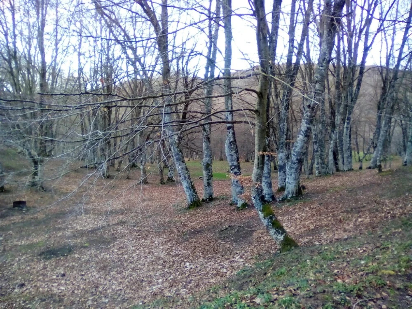 Apartment With 4 Bedrooms in Potenza, With Wonderful Mountain View, Furnished Garden and Wifi