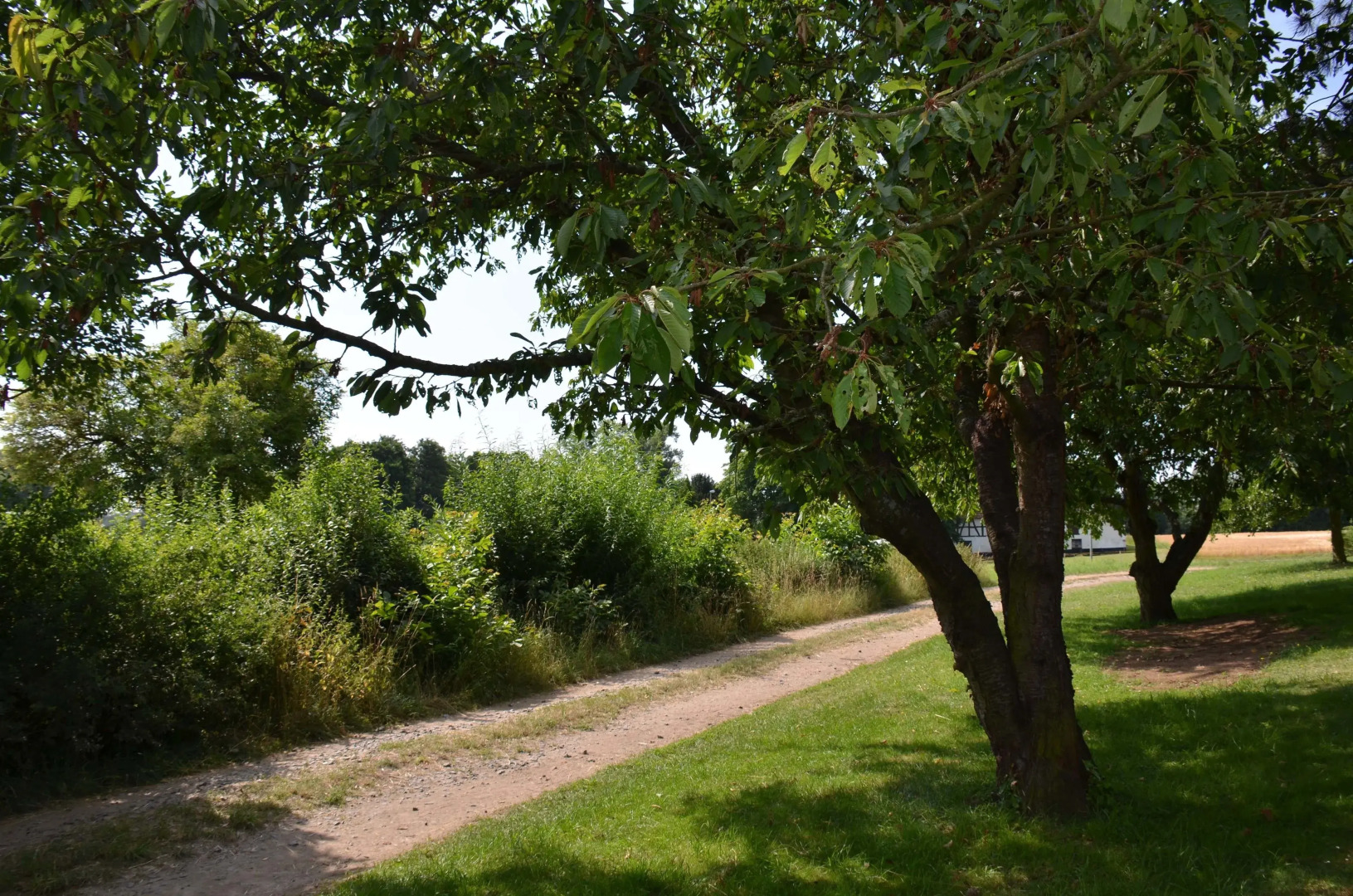 Landhotel Sulzbacher Hof