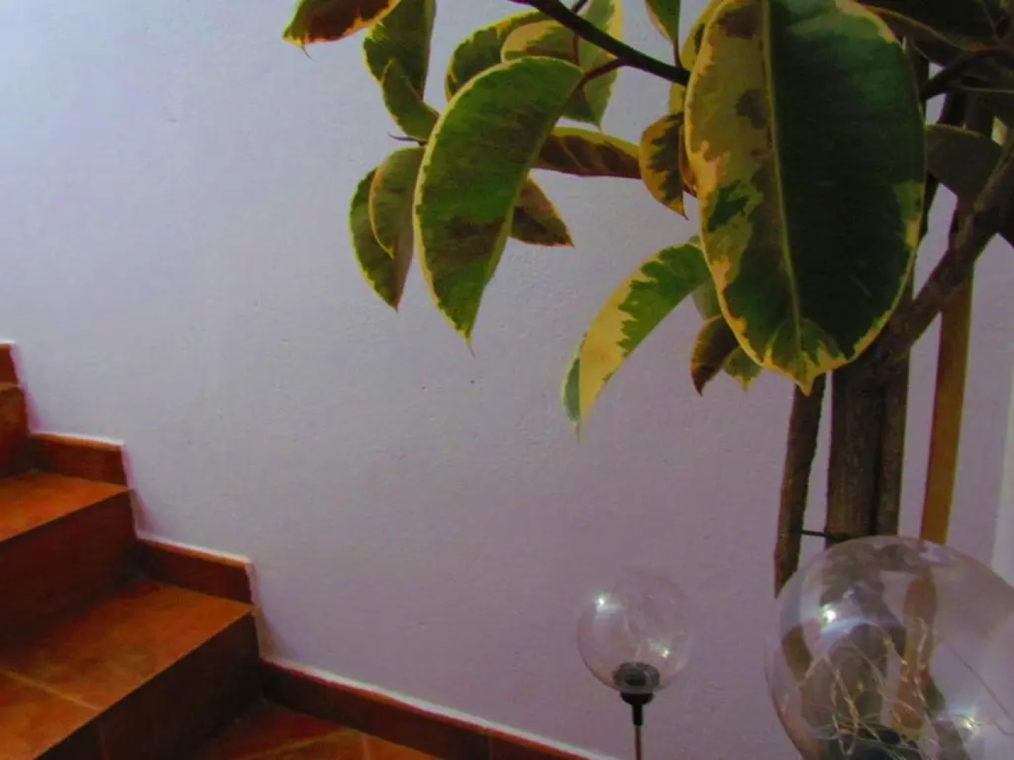 Apartamentos Paraje San Blas