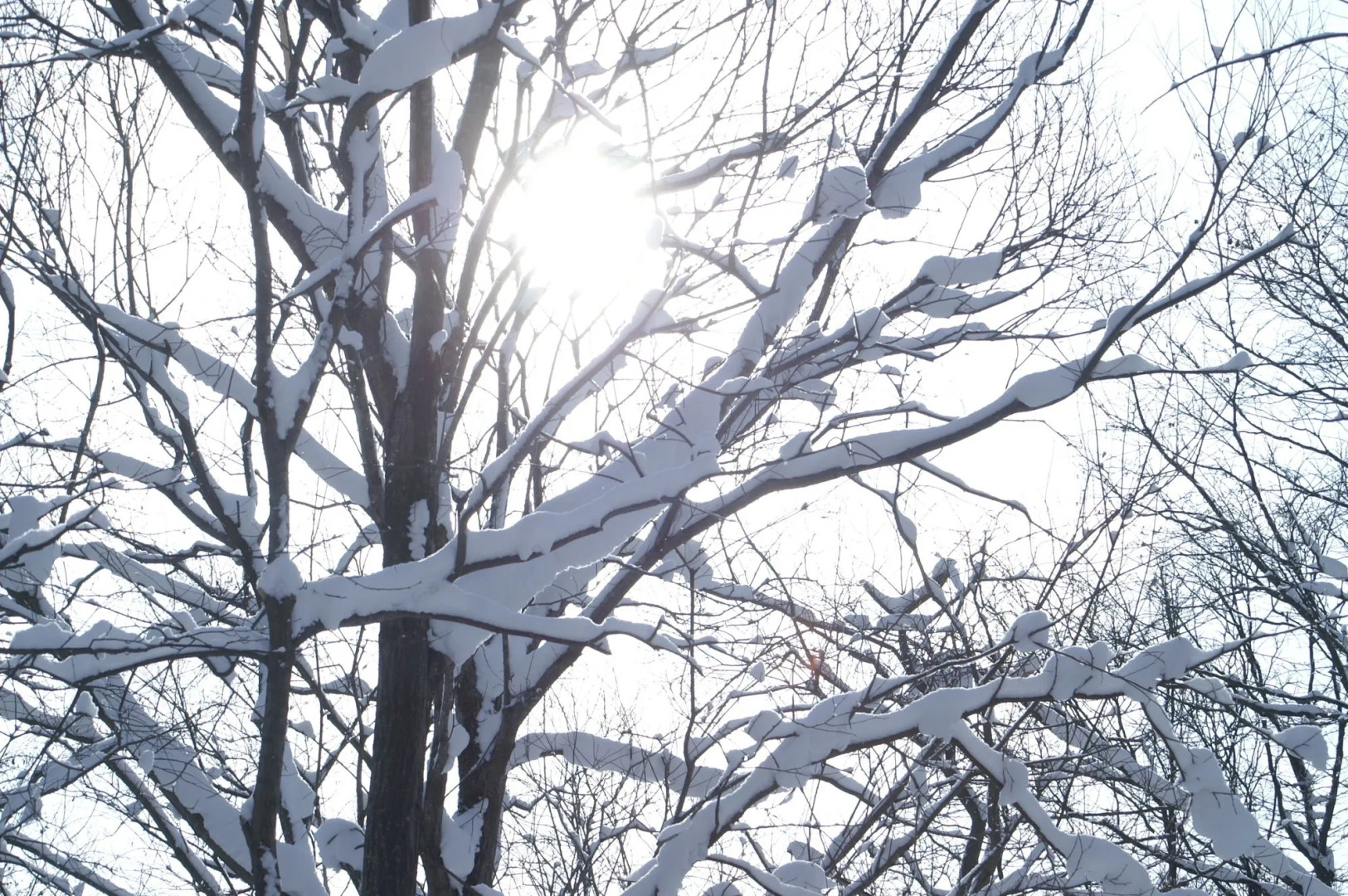 Yumoto Niseko Prince Hotel Hirafutei