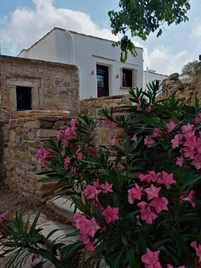 Monitsia Traditional House