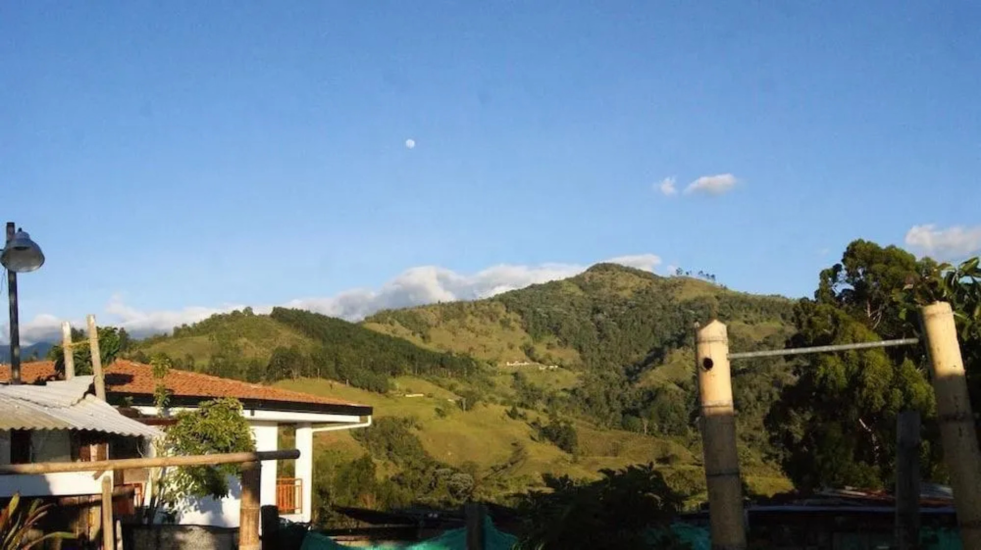 Hostal Casa del Loro - Hostel