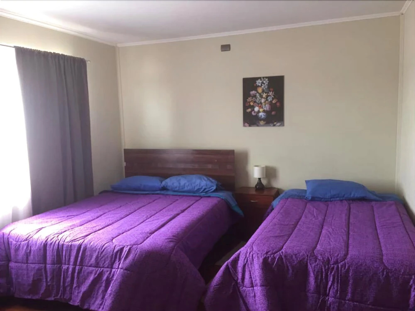 Cabañas La Ruta de Valdivia