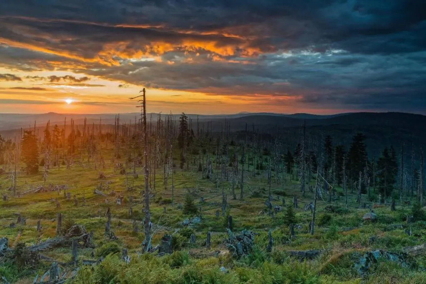 Ferienwohnung im Landhaus am Nationalpark
