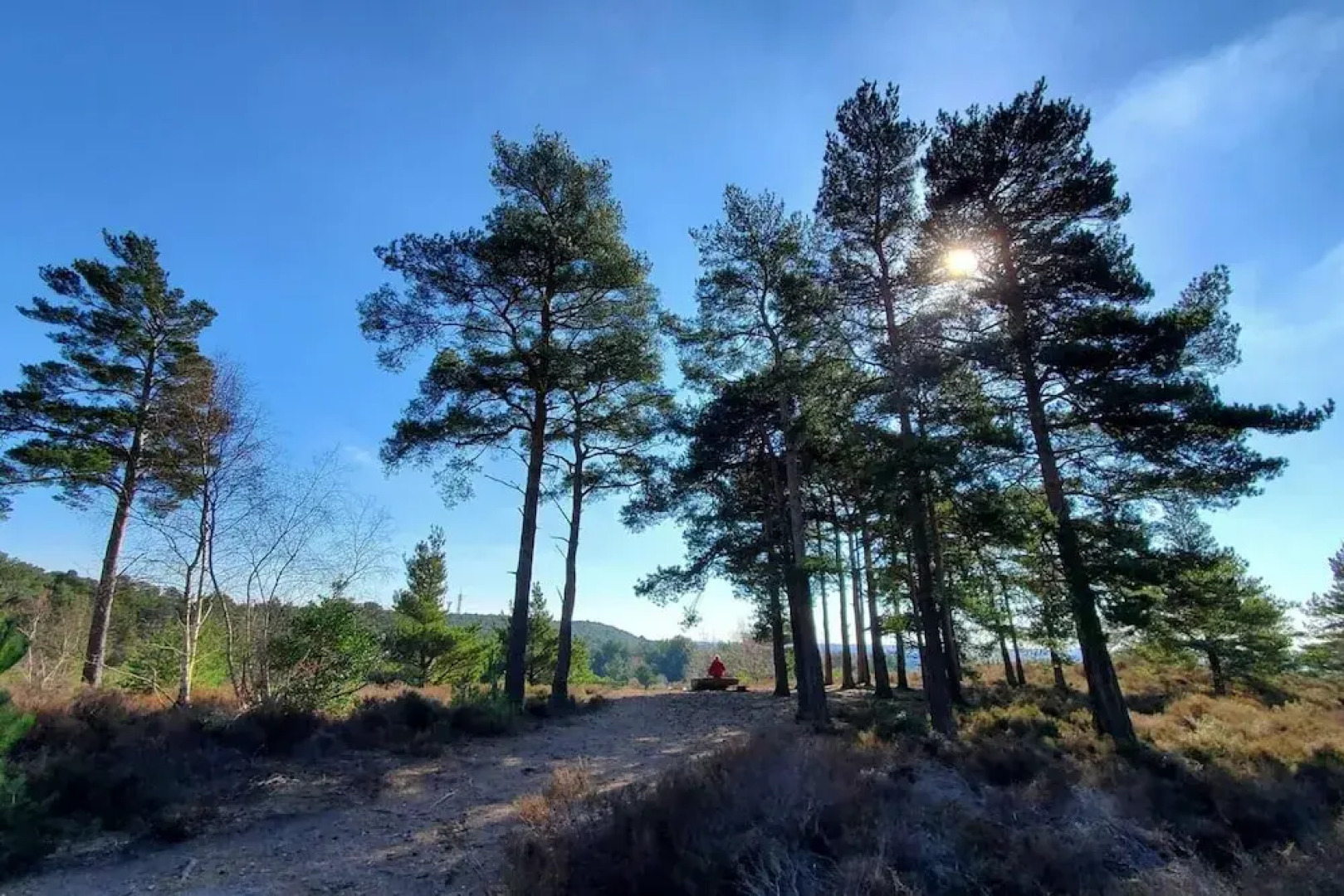 The Cedarwoods - Luxury Studio for 5!