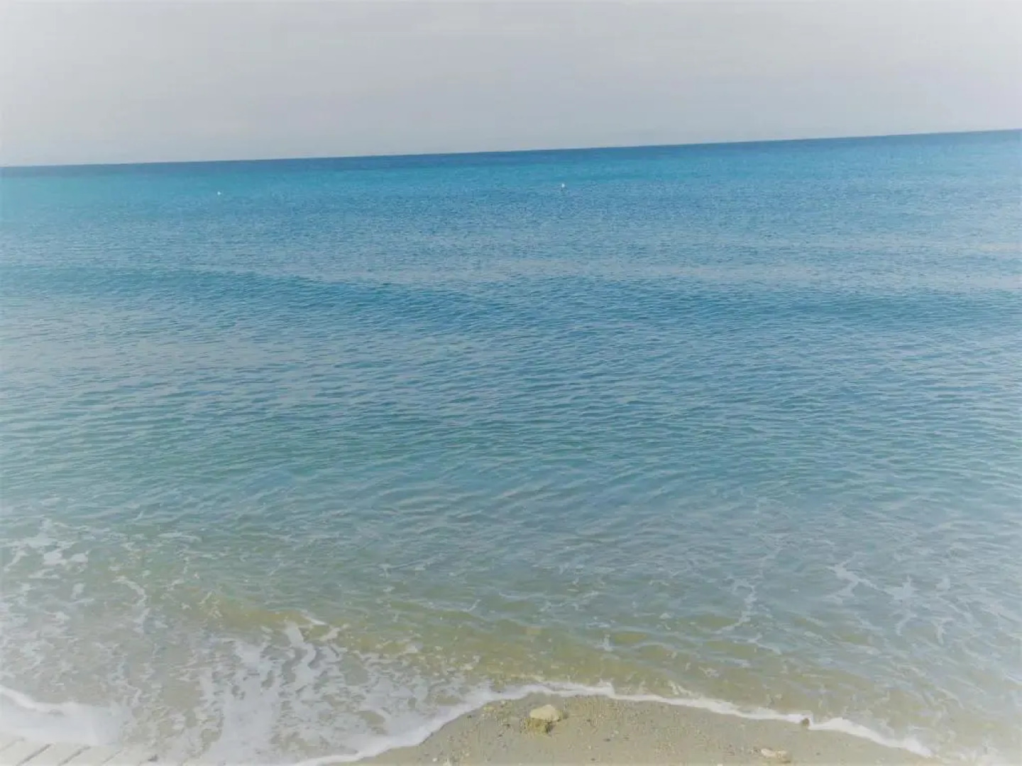 Hippocampοus Niki's Beach House