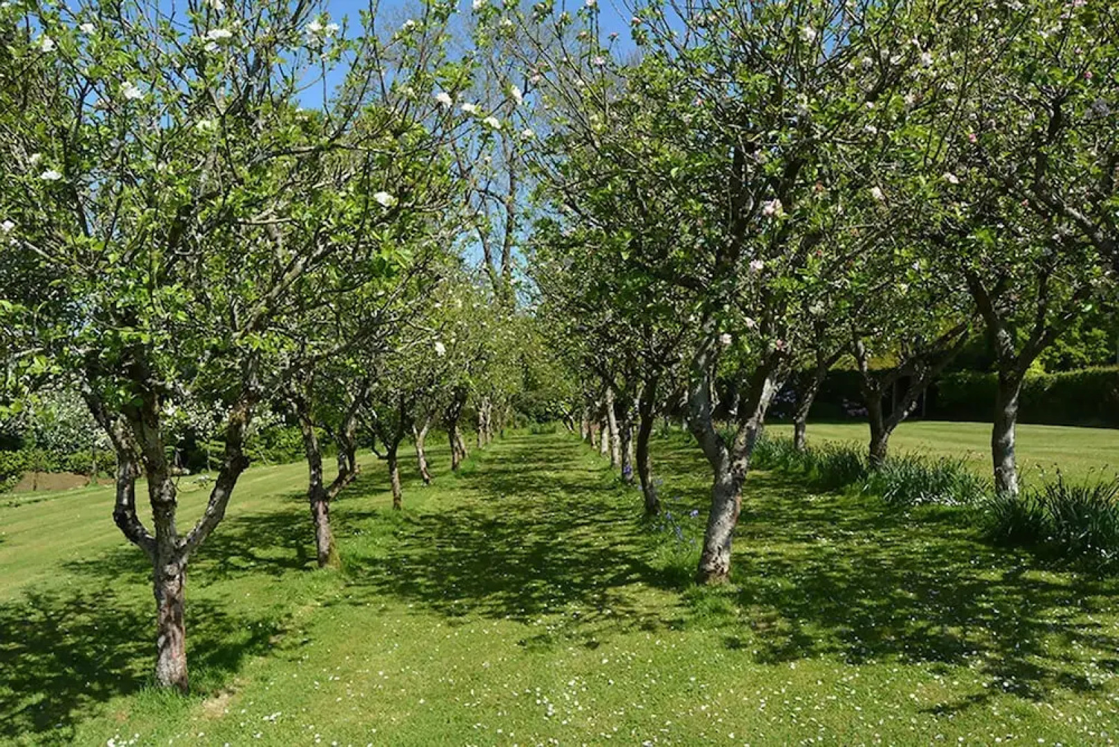 Unique rural retreat on a lovely 15 acre smallholding with award winni