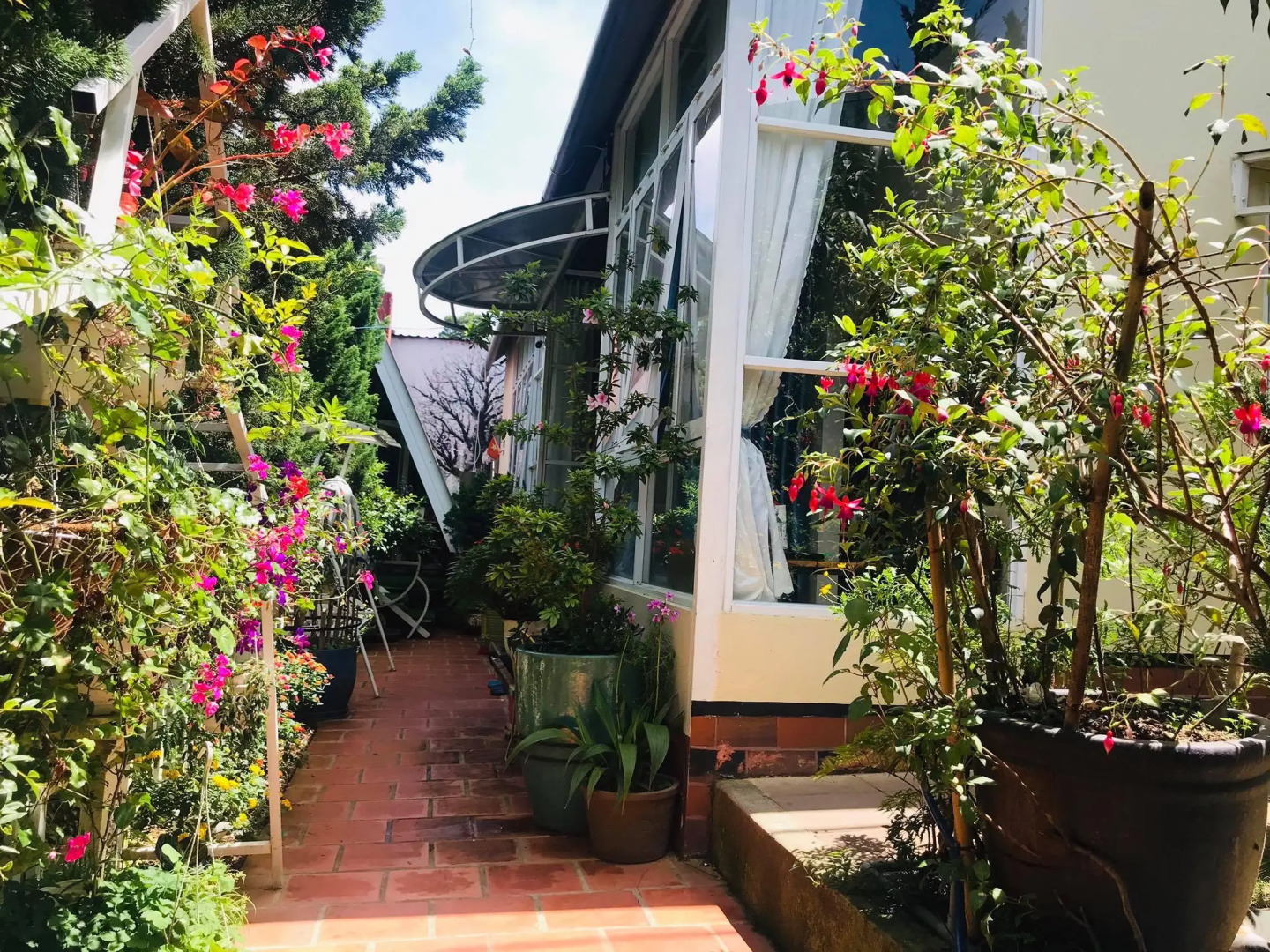 Homestay VuonTung (Pine Garden)