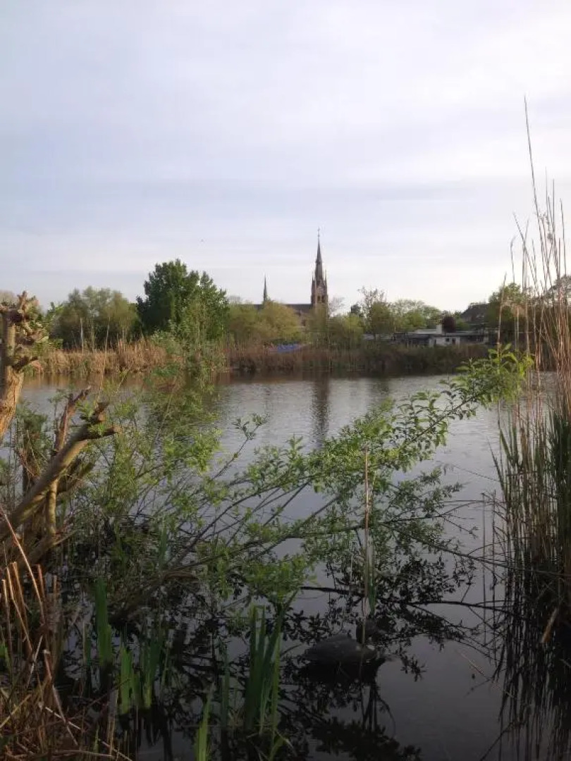 Studio Lakeside Spiegelplas