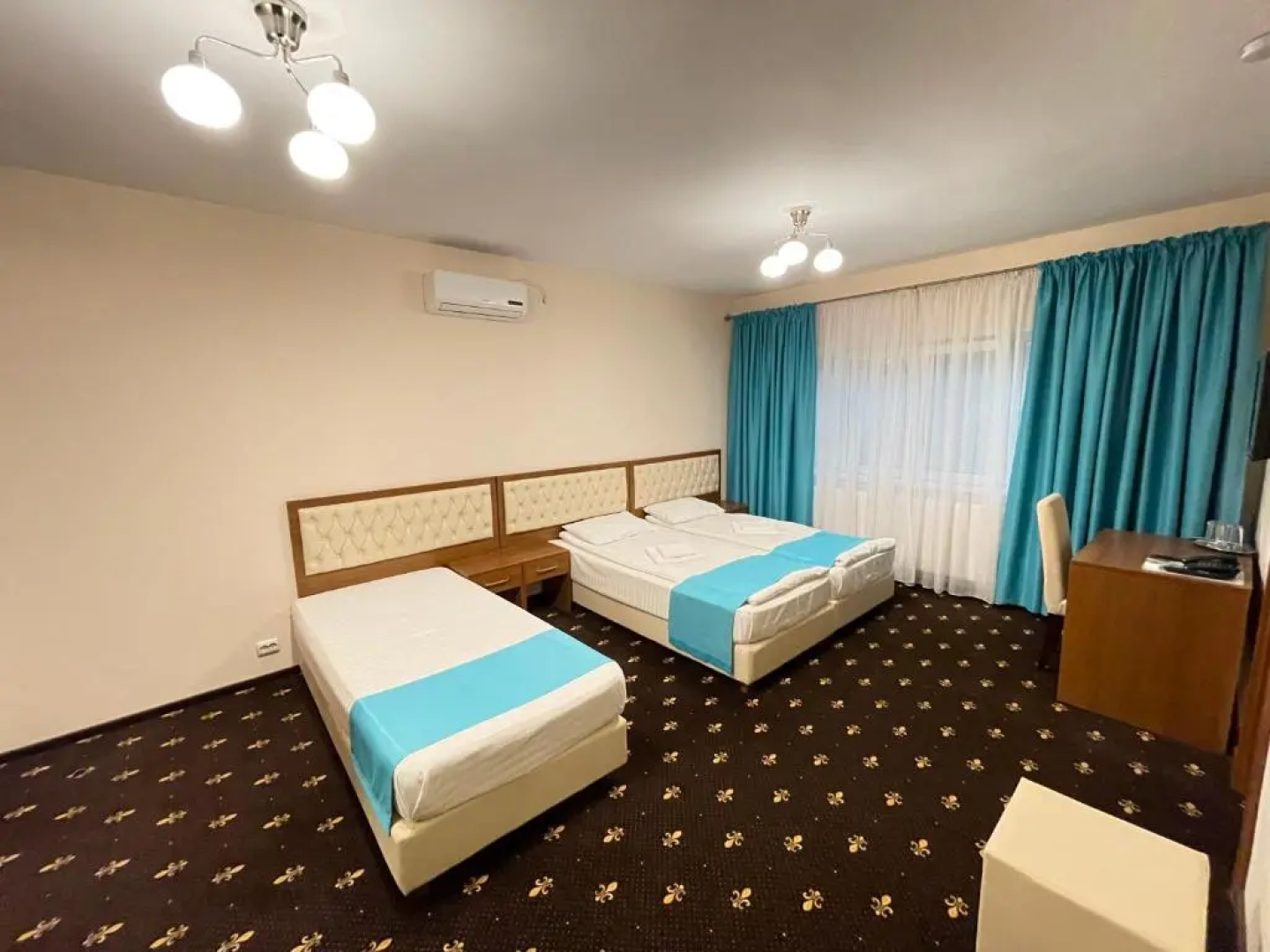Hostel Paltinis