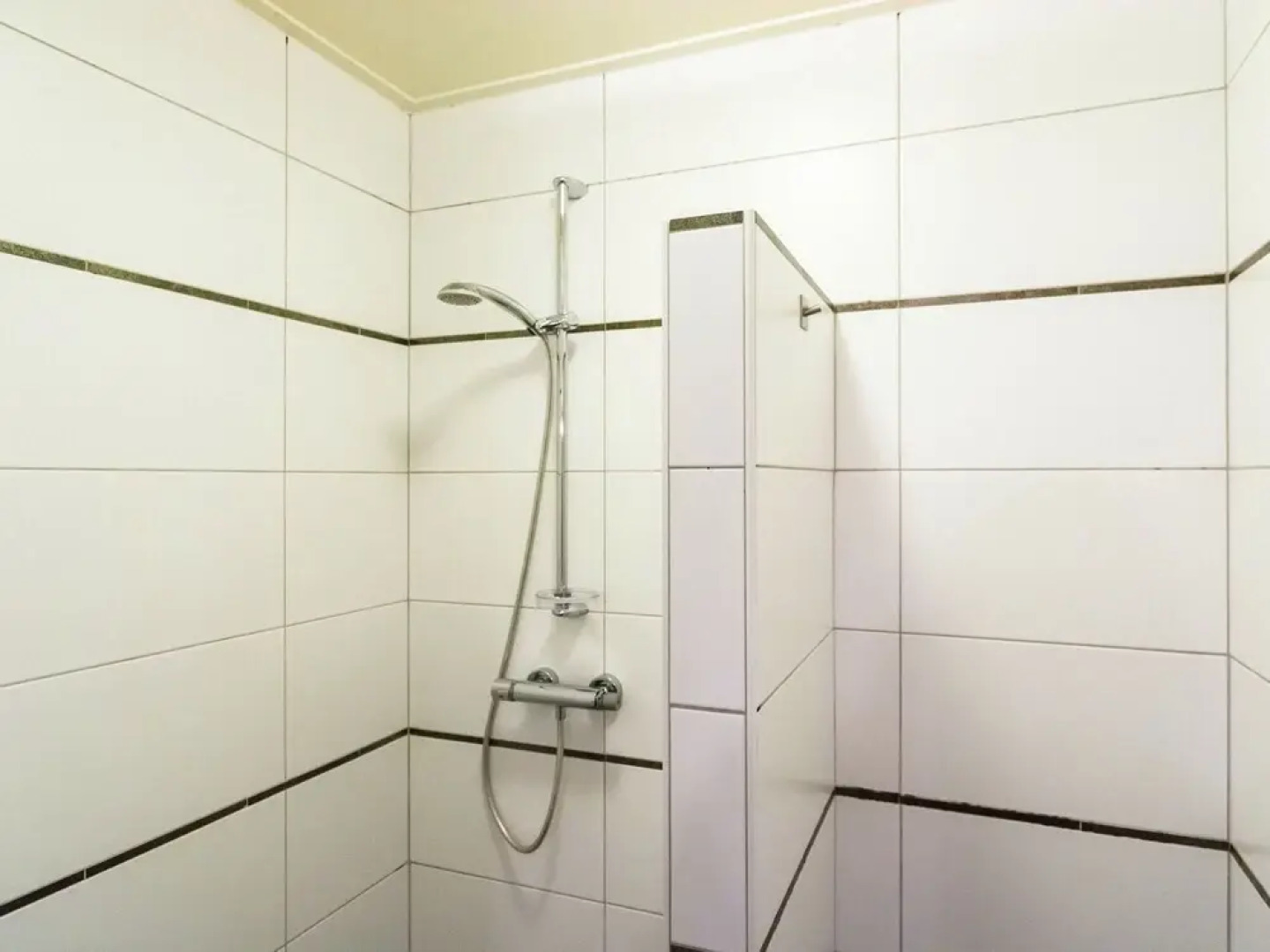 Luxury Farmhouse near Forest in Dinkelland