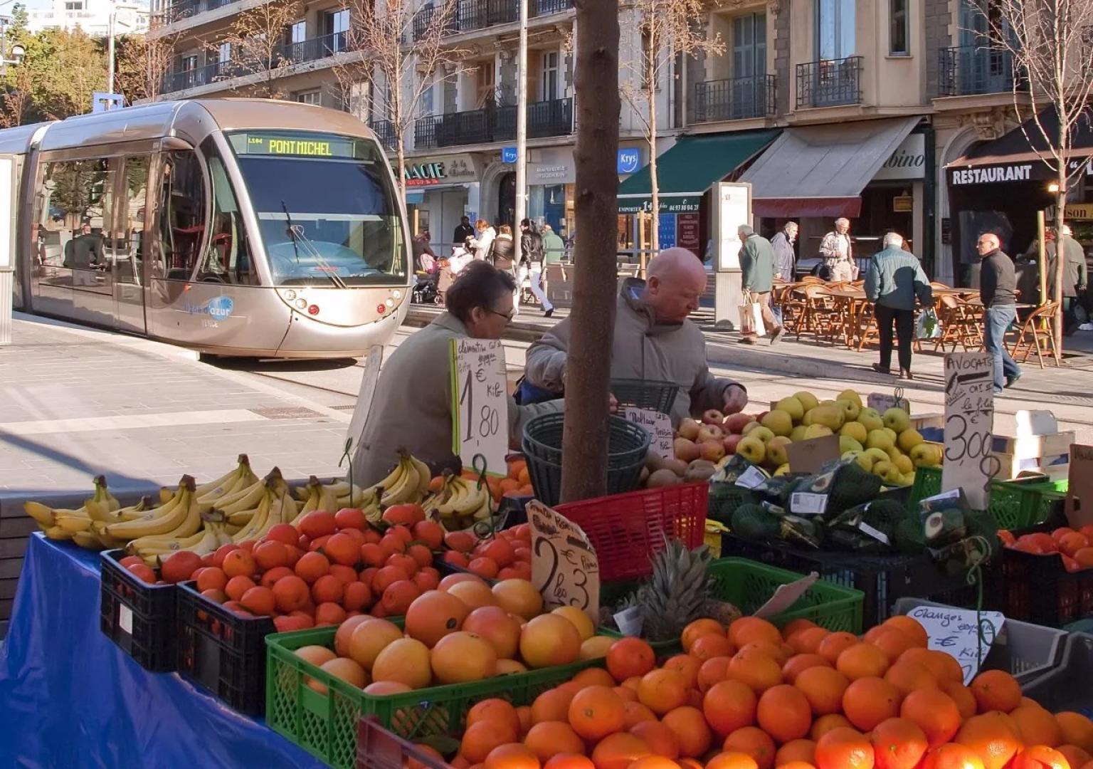 Appartements Comté de Nice