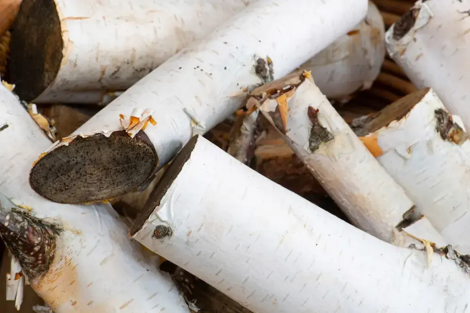 The Five Turrets: Stay in Scotland in Style in a Historic Four-bed Holiday Home