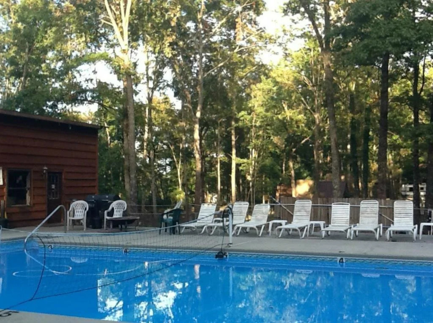 Pandora's Forest - Adults Only