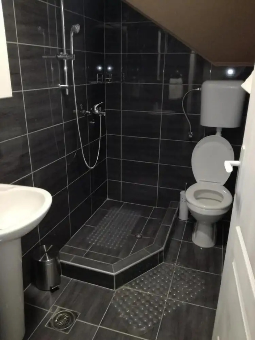 Vila Olivera Niska Banja