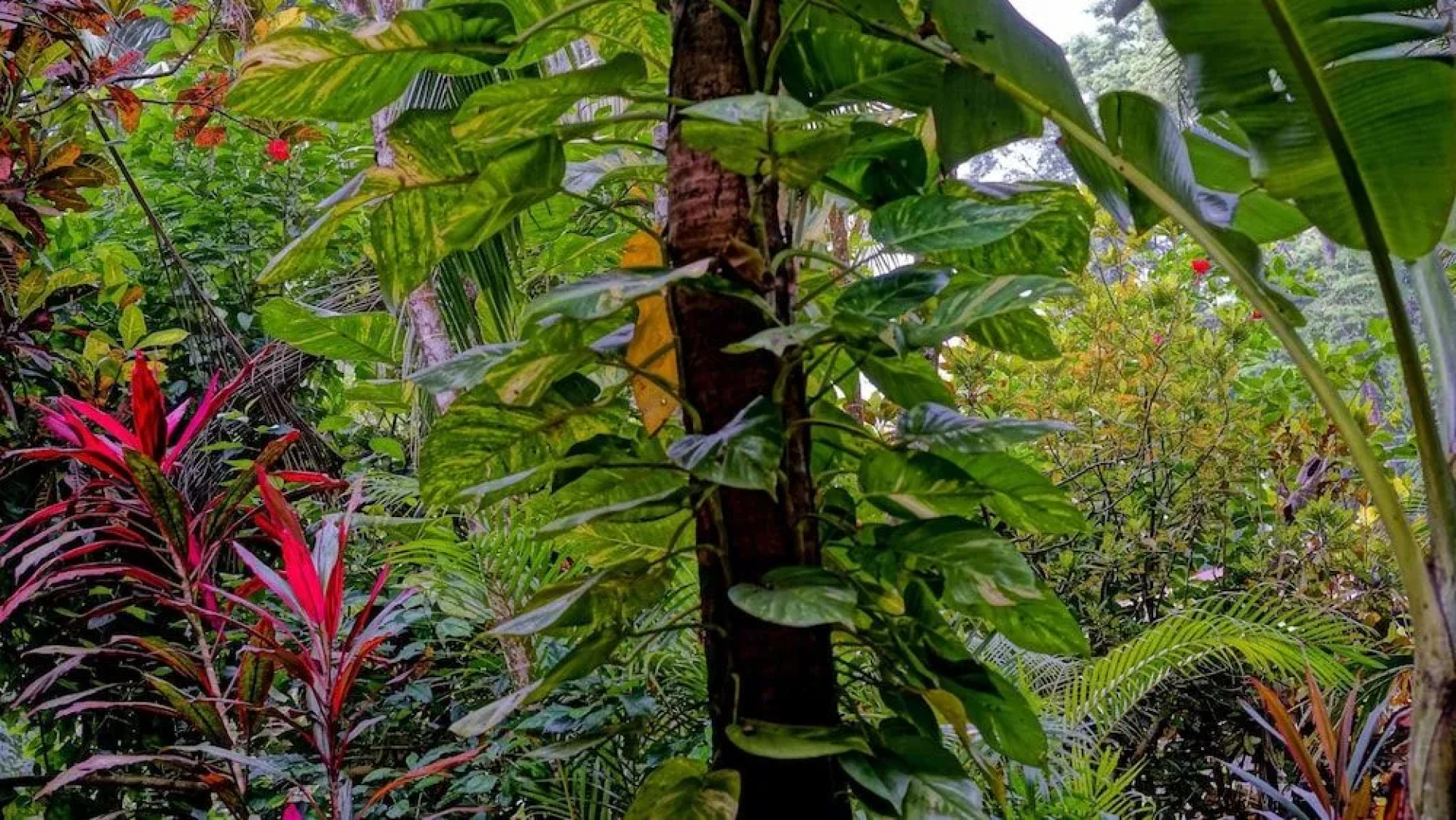 MI Casa Hostel & Hotel El Tesoro