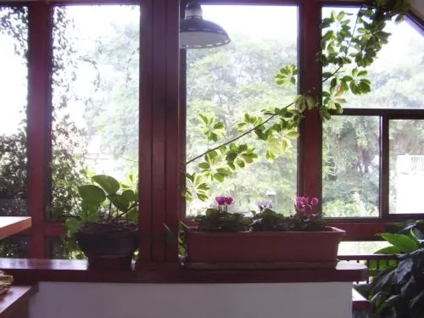 Tarnegol Haaravot Guesthouse