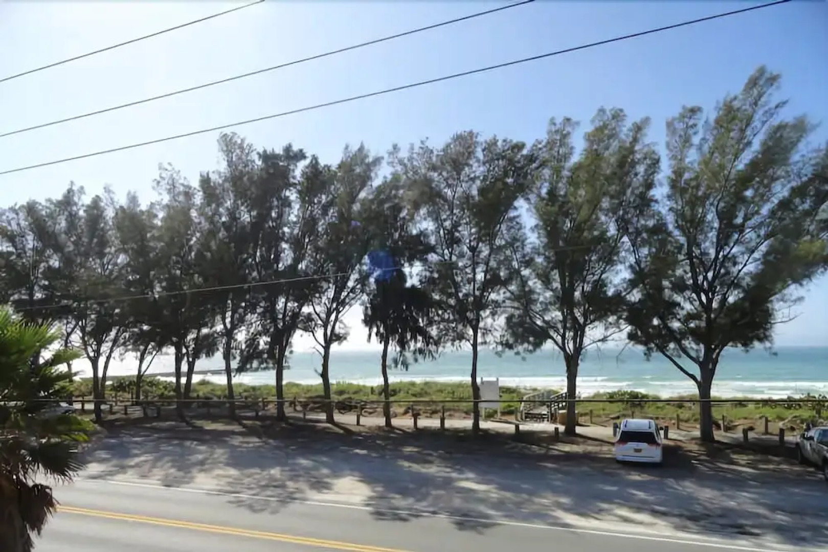 Dolphin Dance, North Side by RedAwning