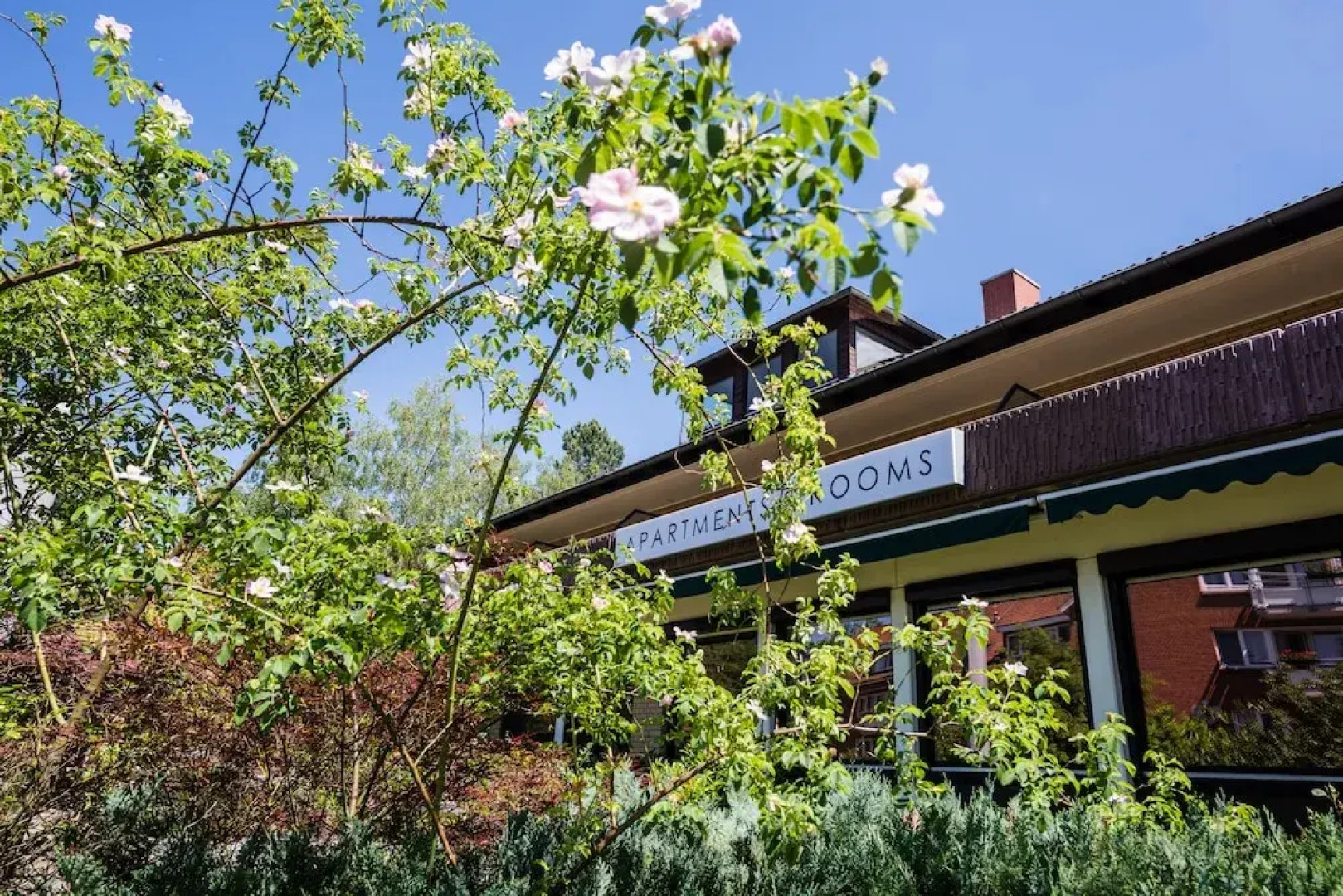 Forest Apartments & Rooms