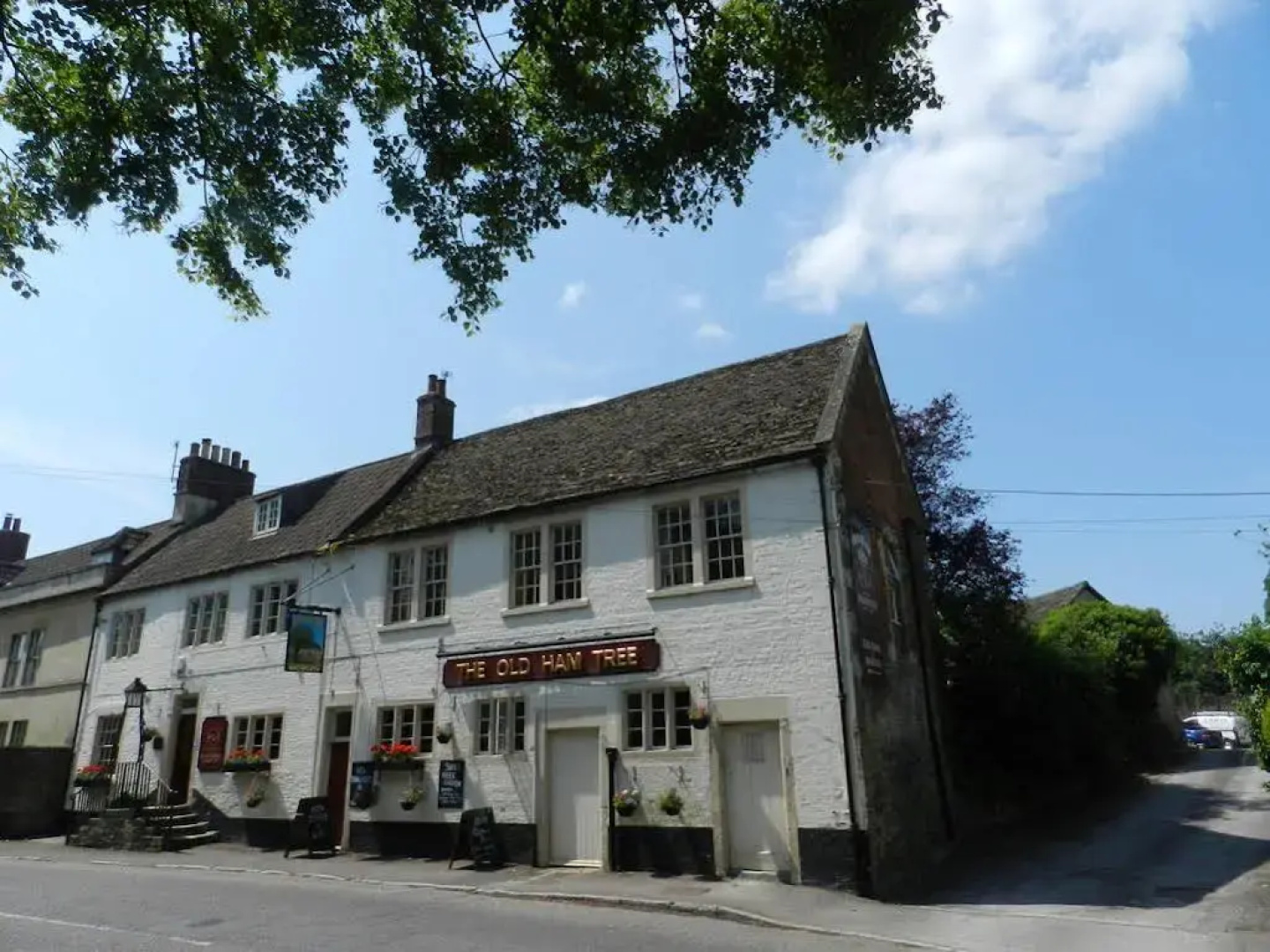 The Old Ham Tree