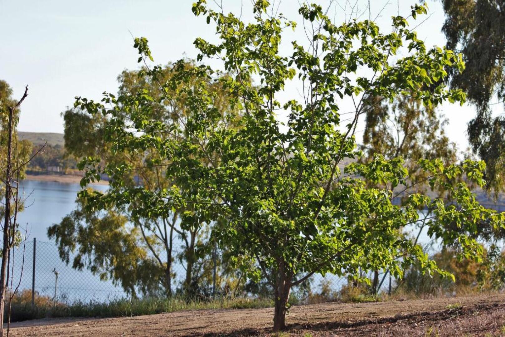Apartamentos Embalse de Orellana