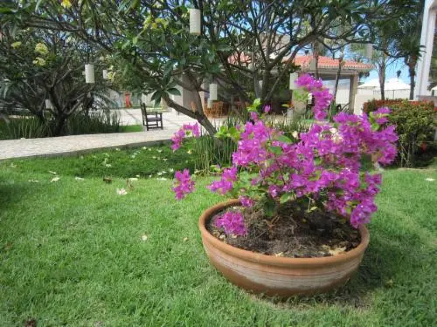 Pousada Tropical Ilhas