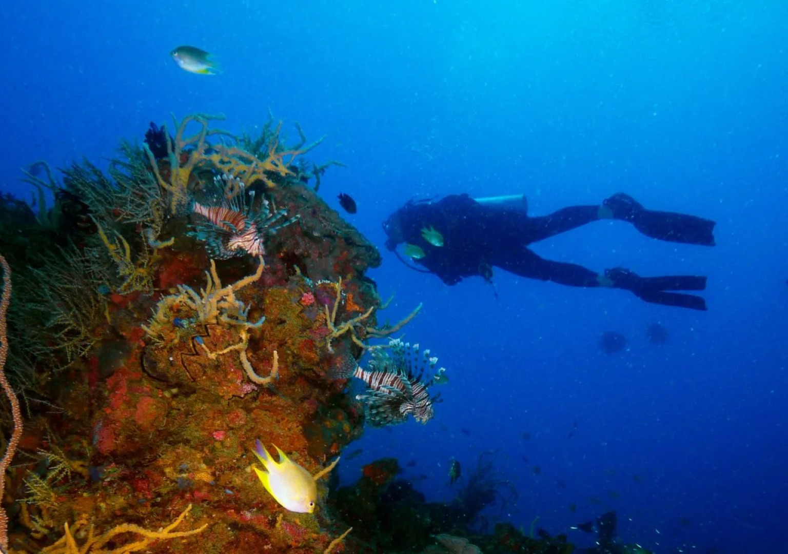 Huma Island Resort and Spa