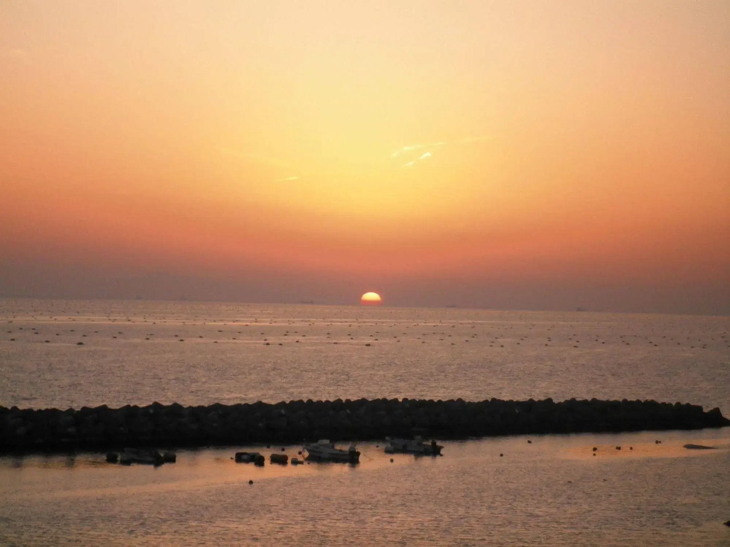 Guest House Lohas Home