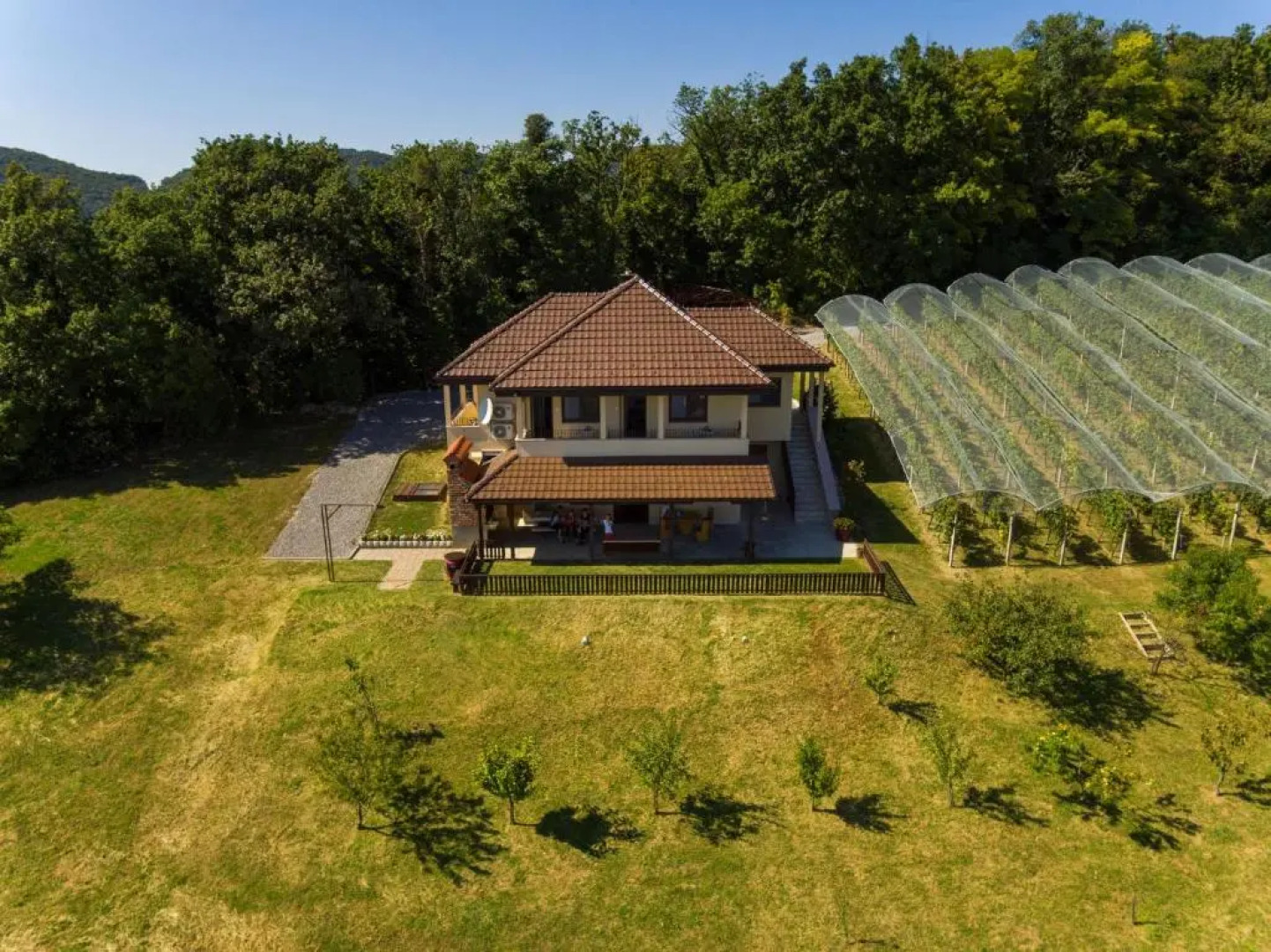 Apartmani Petra, Tea i Joža