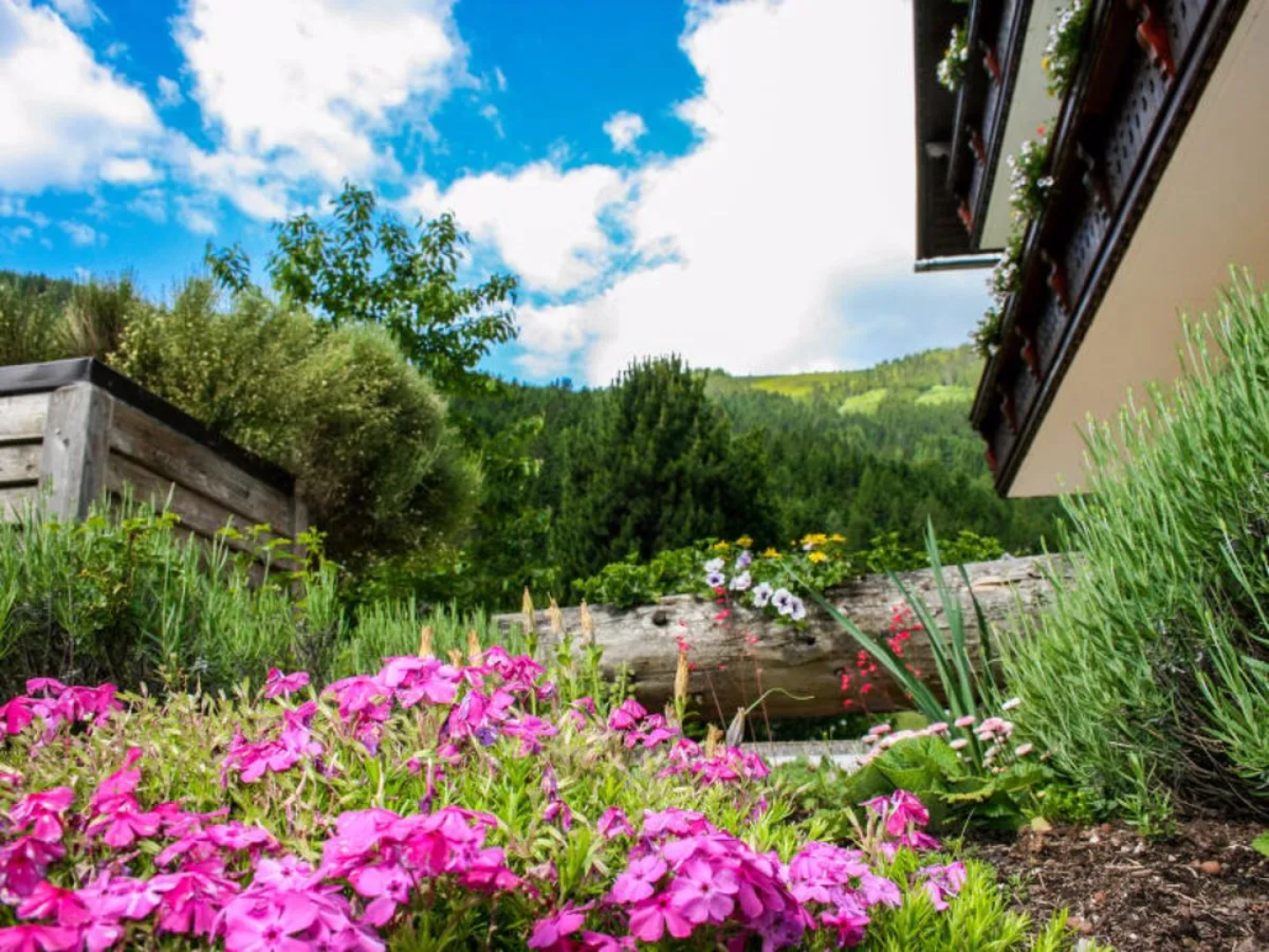 Apartment Hochjoch Irdning - Donnersbachtal