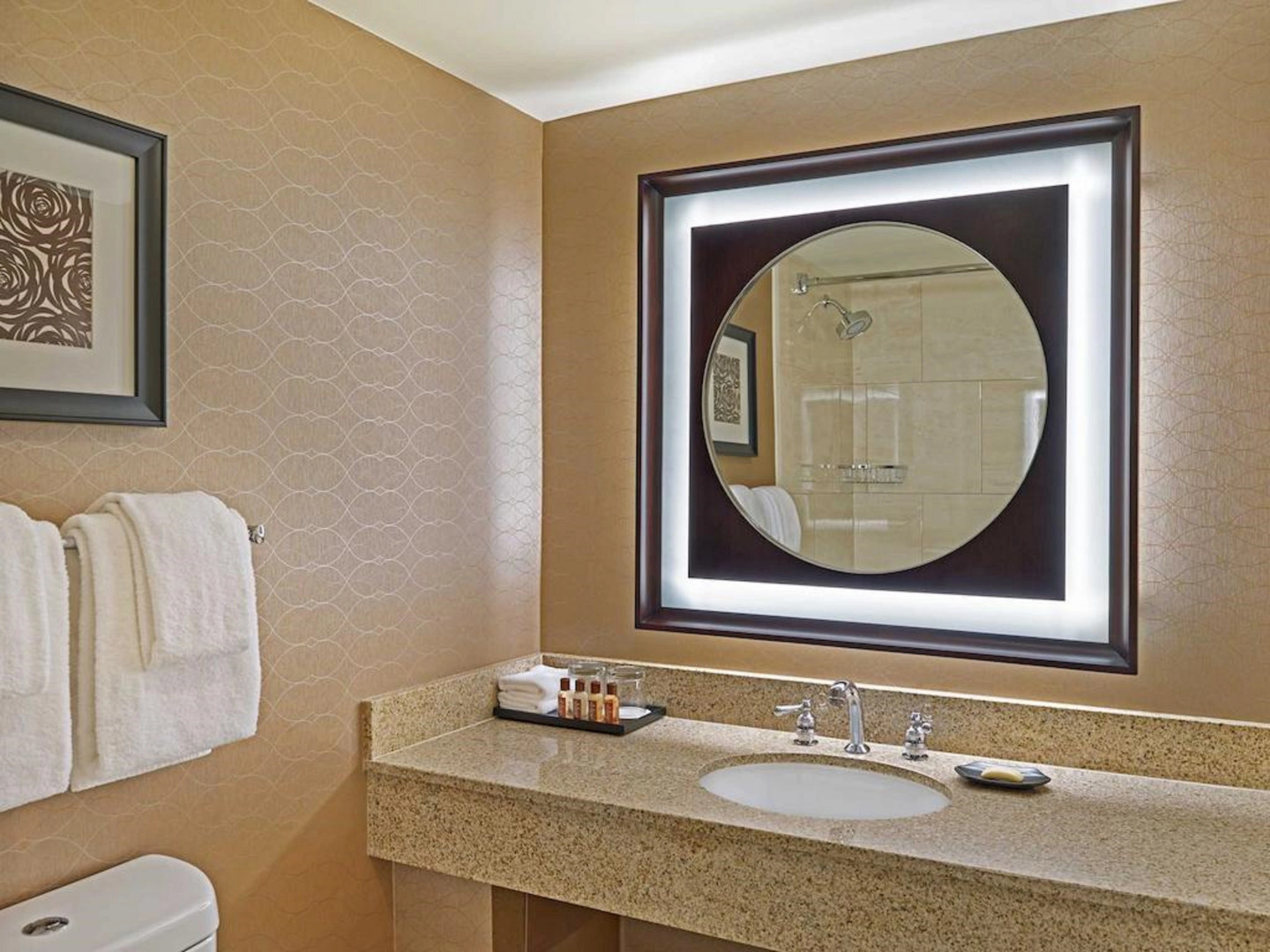 Sheraton Detroit Novi Hotel