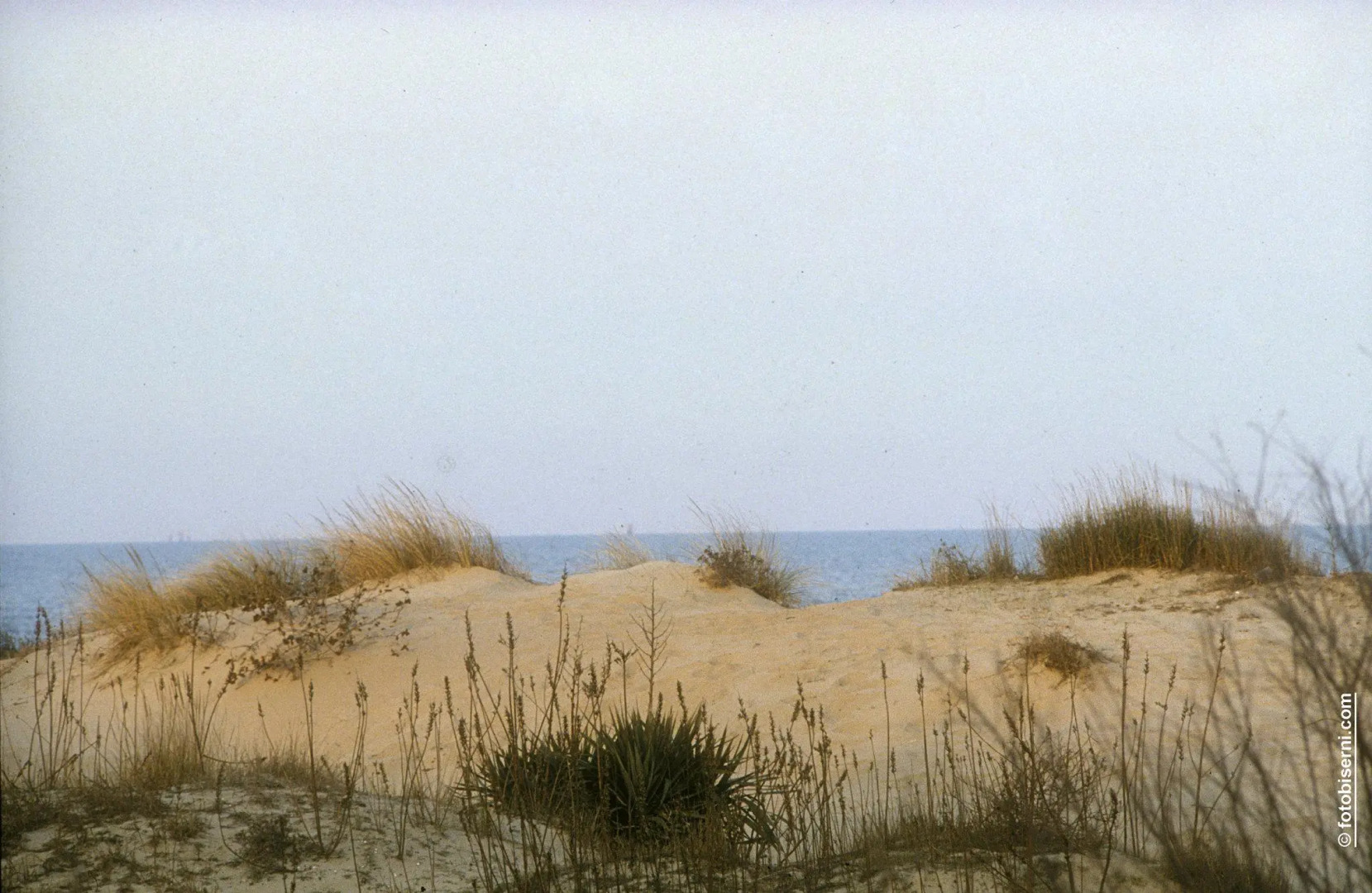 Relais Villa Roncuzzi