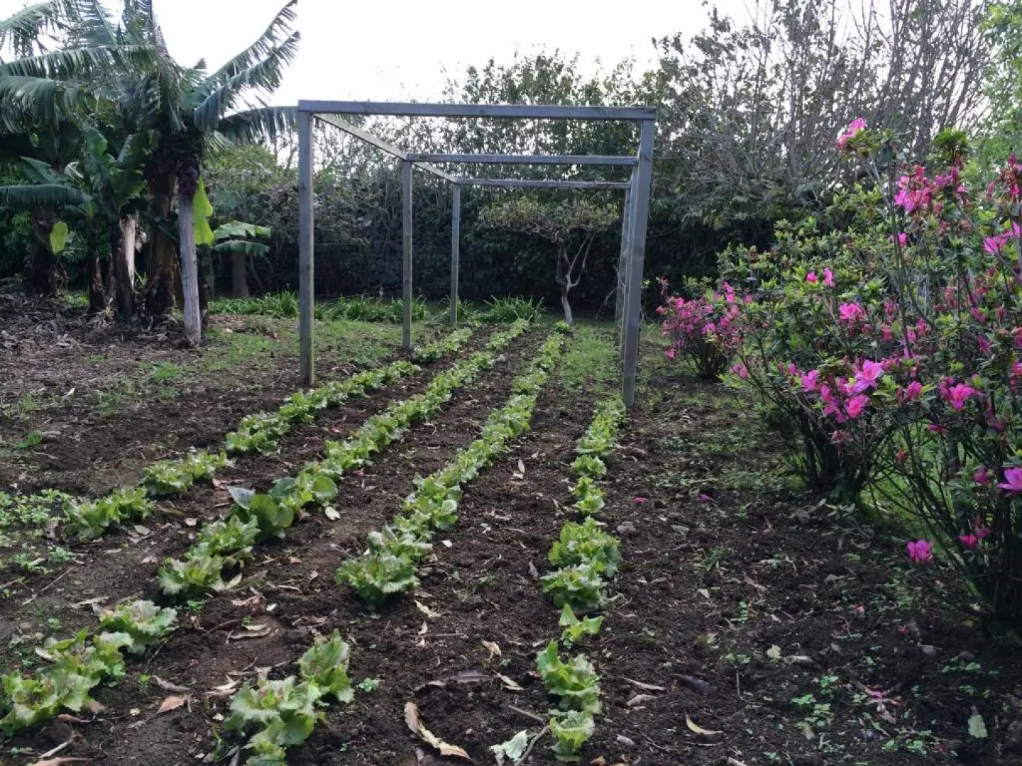 Quinta de Santa Clara