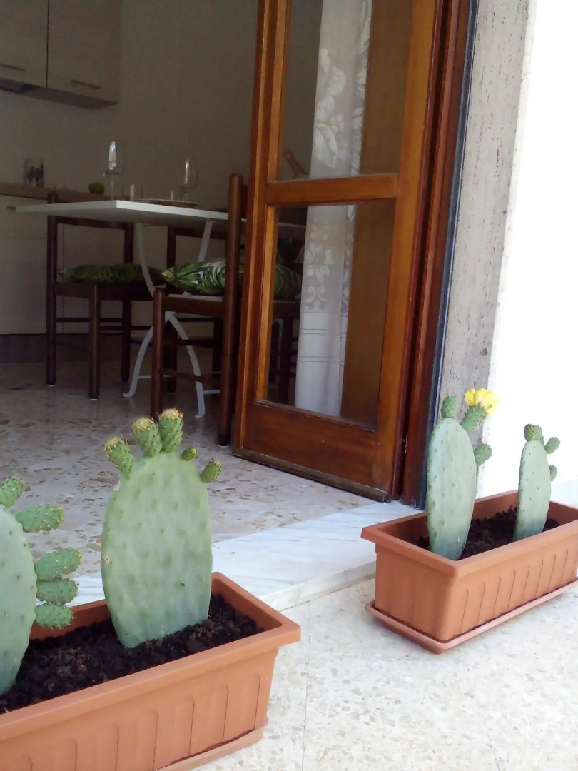 Appartamenti Raffaello