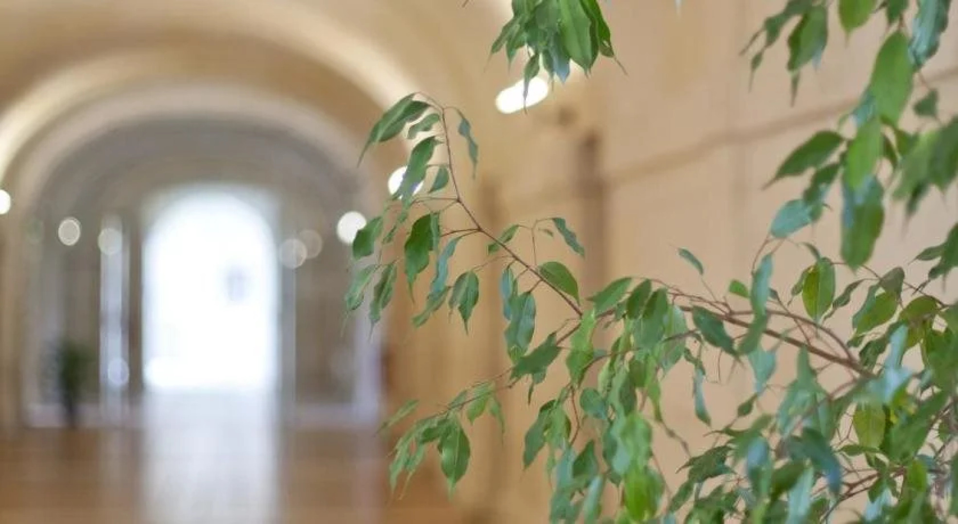 Les Chambres de l'Abbaye