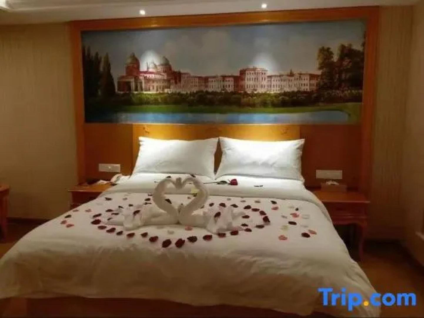 Vienna Jiashan Old Town