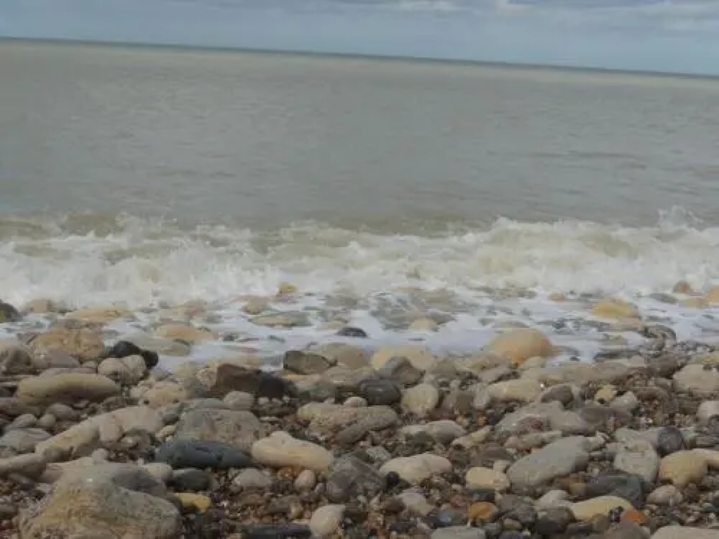 Aux Fleurs D'anemone