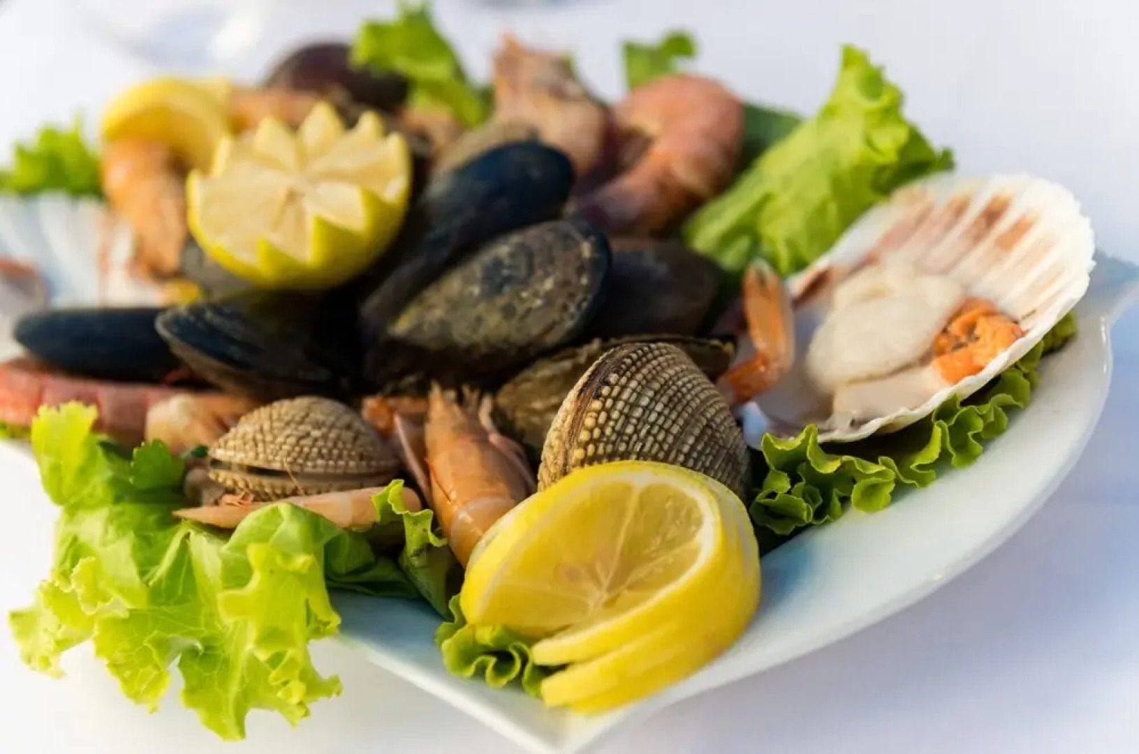 Bed&Breakfast Sorgo Palace