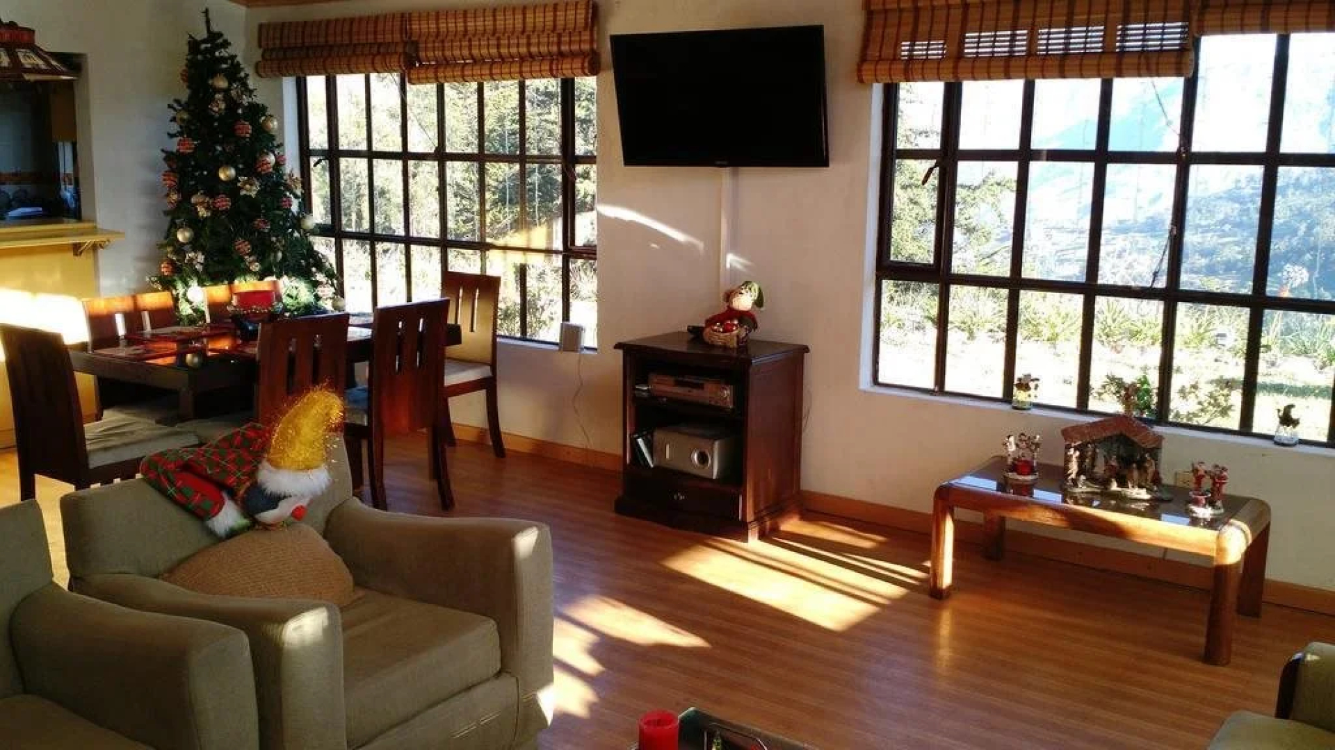 Pinares del Carrizalito