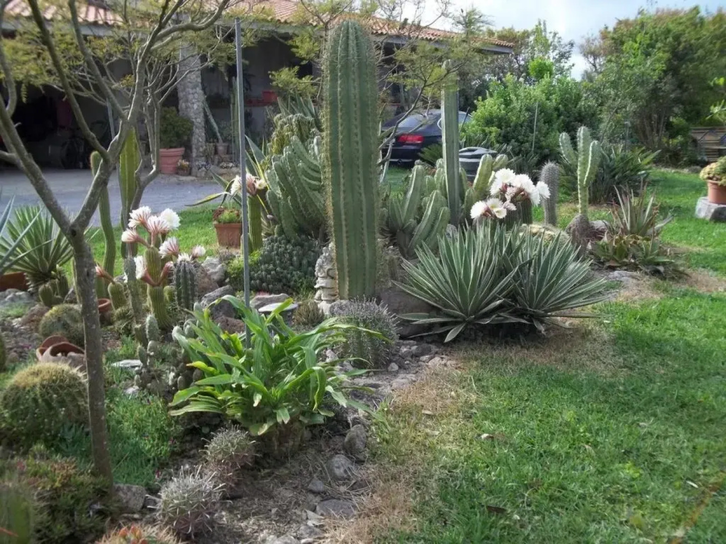 Il Vecchioliveto di Ornella