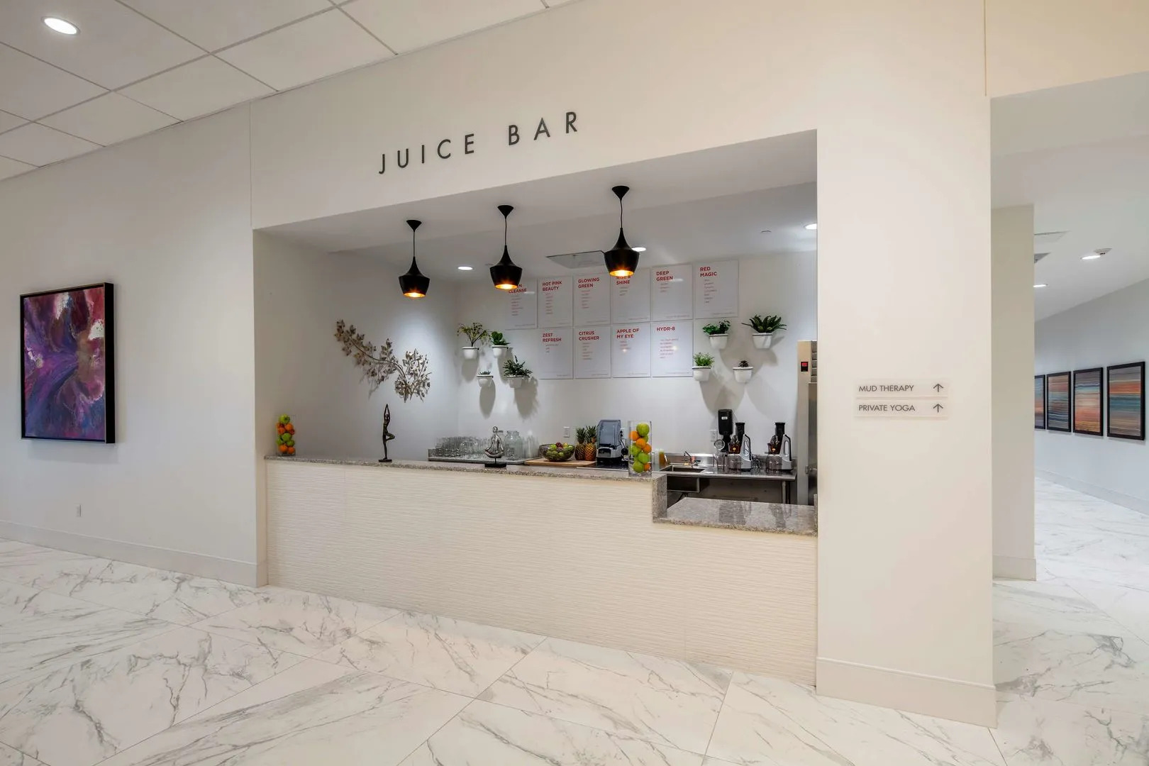 YO1 Longevity & Health Resorts, Catskills