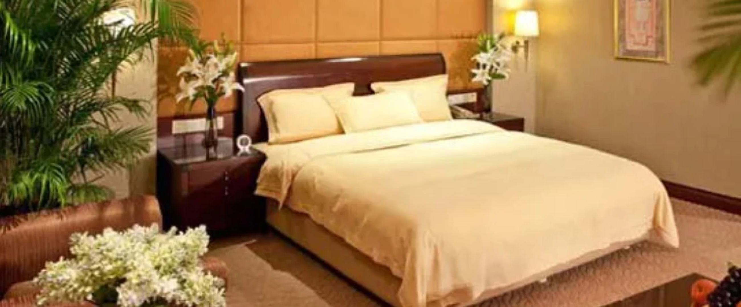 Chinflux Mandarin Hotel