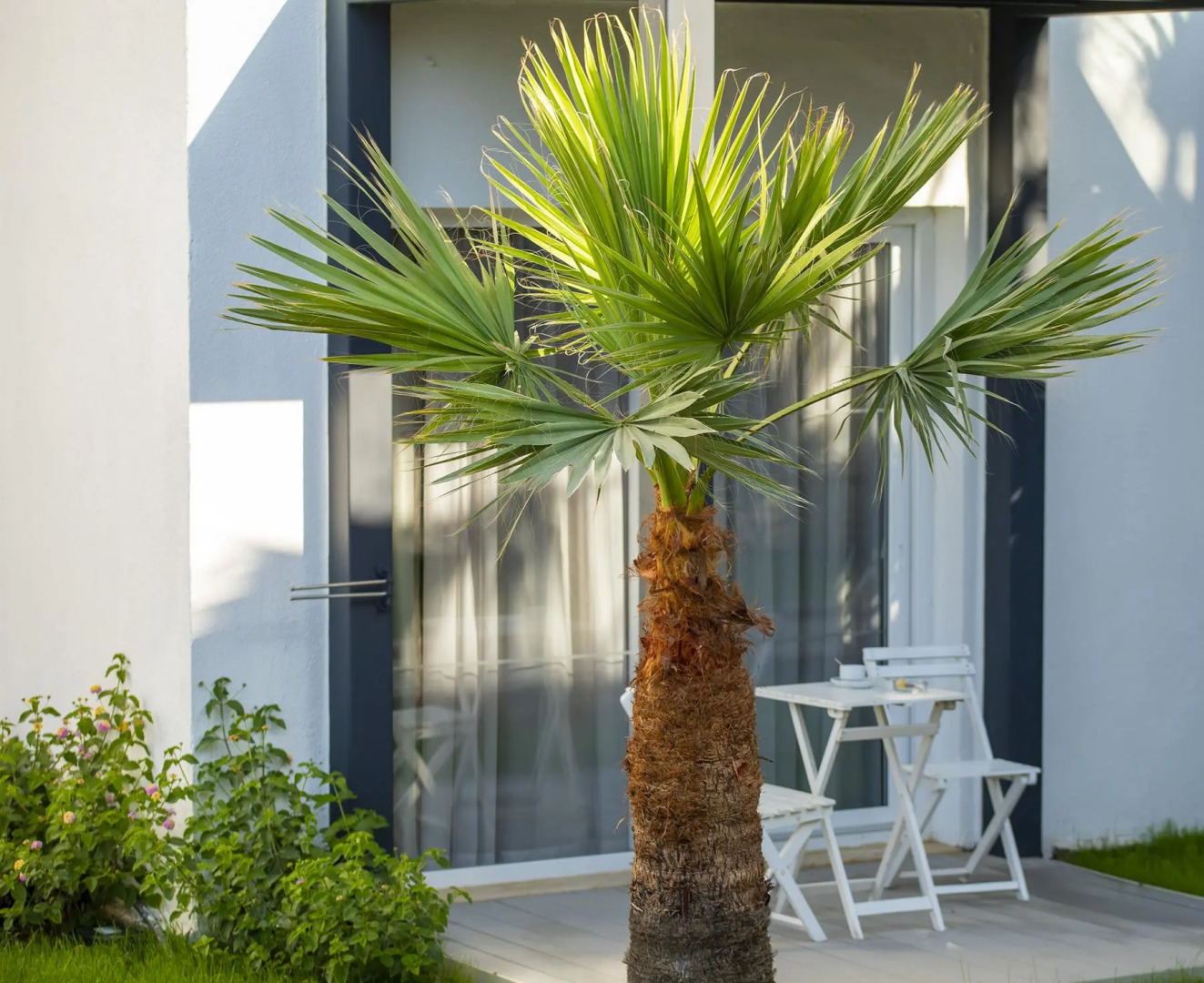 Charm Beach Hotel - All Inclusive