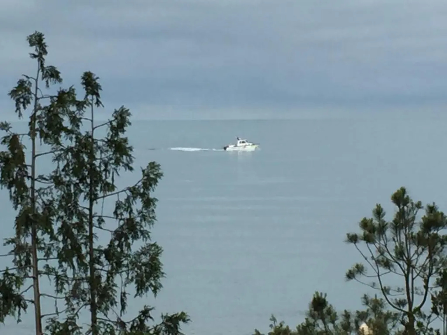 Отель Дримлэнд Оазис