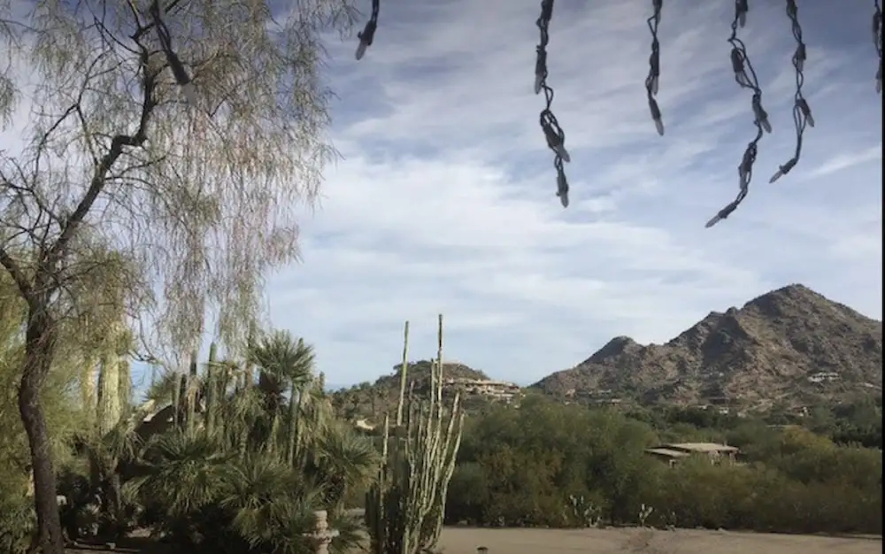 Ellen's Paradise Retreat