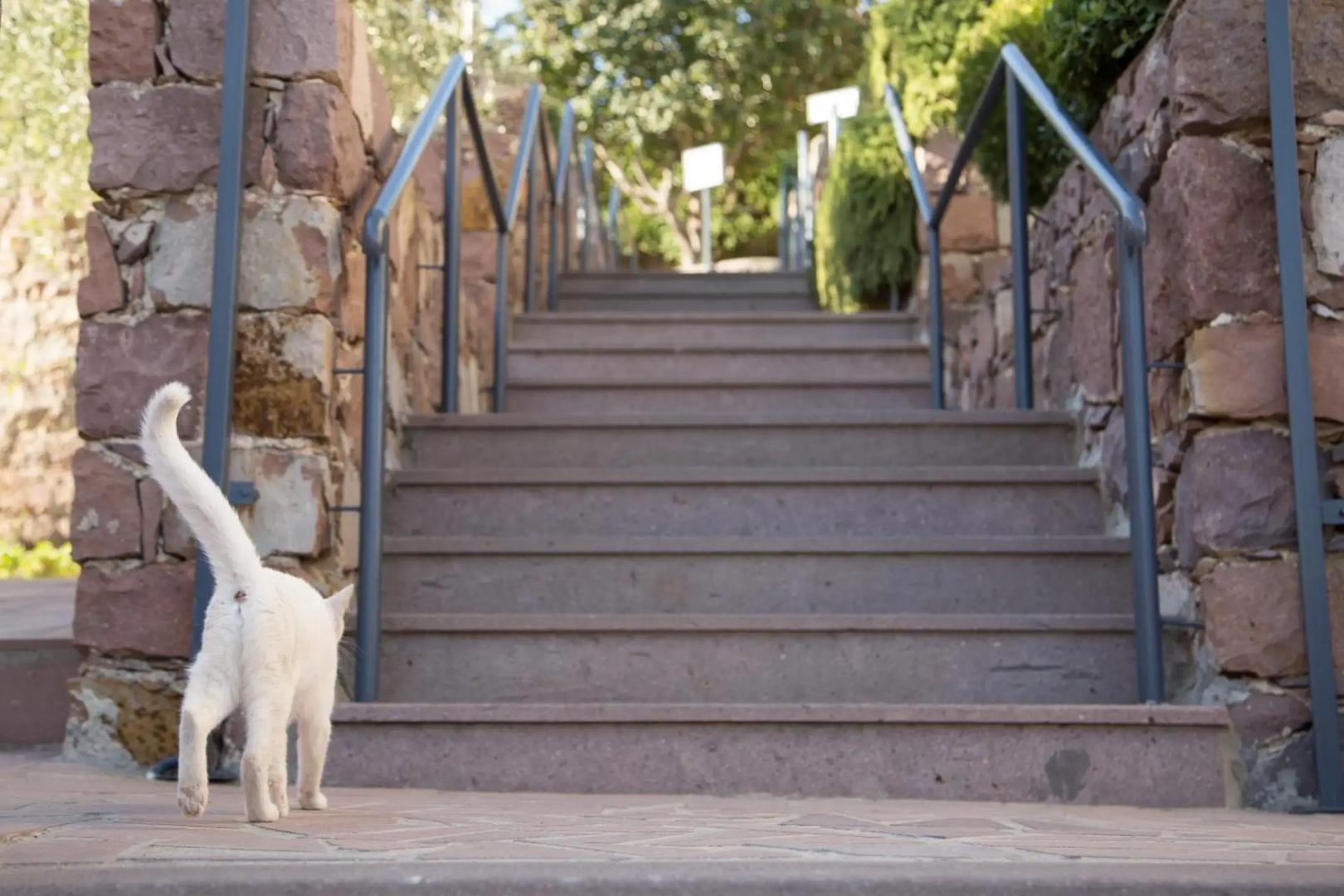 Sunrise Resort Hotel